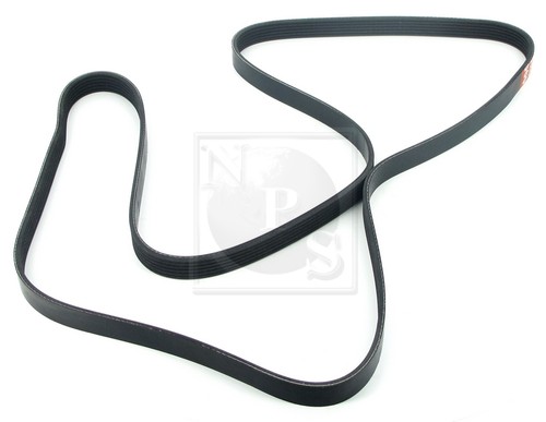 Courroie accessoire nps - courroie,